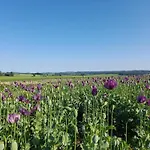 Na Palouku Horní Cerekev