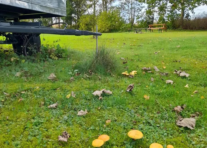 Aldeamento Turístico Na Palouku Horní Cerekev